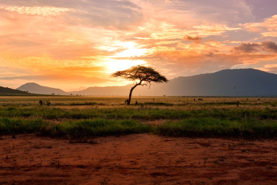 Safari vehicle on the Serengeti plains at golden hour
