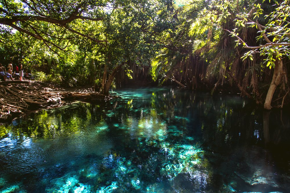 Turquoise waters of Chemka Hot Springs near Kilimanjaro
