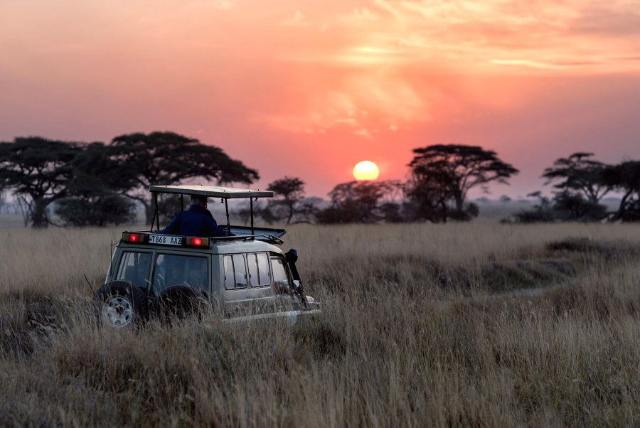 Safari vehicle on the Serengeti at sunset