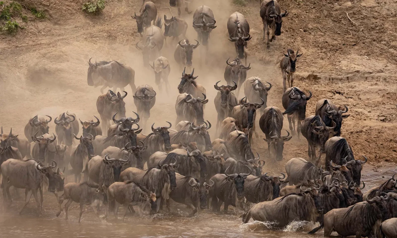 5 Days Serengeti Great Migration Safari